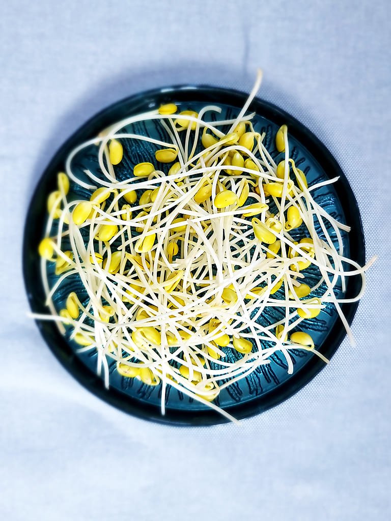 Natura Farm - Soya Filizi